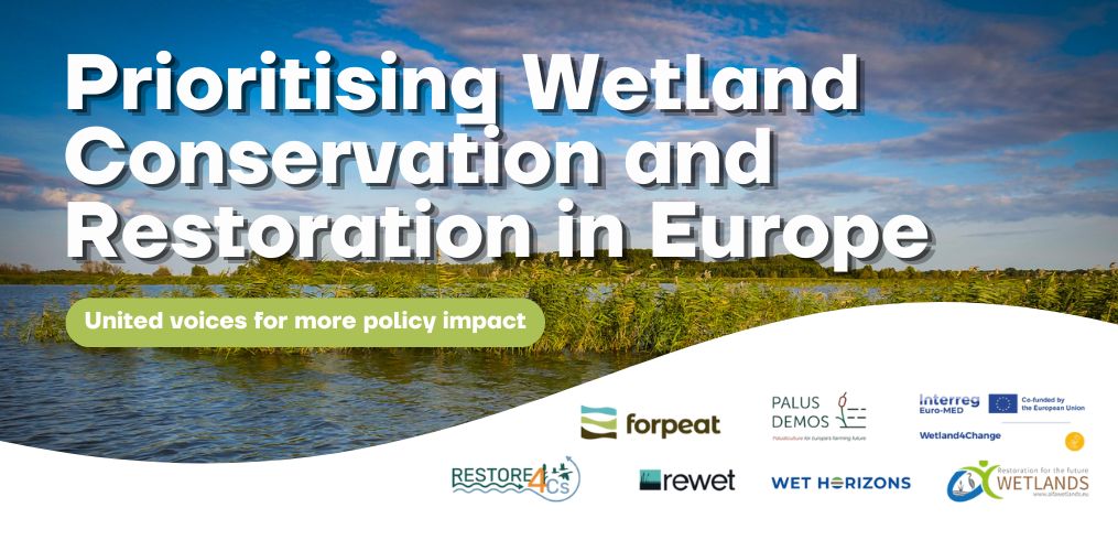 wetlands projects joint white paper