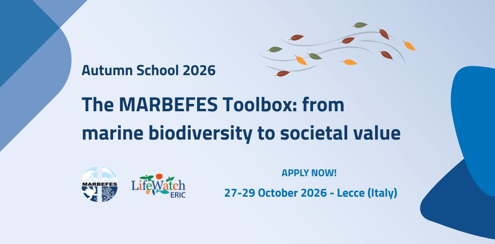 MARBEFES Autumn School 2026